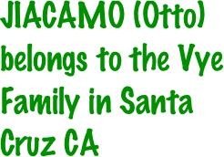 JIACAMO (Otto) belongs to the Vye Family in Santa Cruz CA