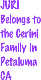 JURI Belongs to the Cerini Family in Petaluma CA


