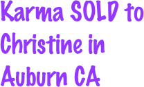 Karma SOLD to Christine in Auburn CA