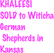 KHALEESI
SOLD to Witicha
German
 Shepherds in
Kansas