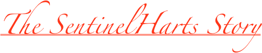 The SentinelHarts Story