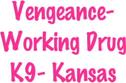 Vengeance- Working Drug K9- Kansas